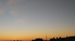 【お題日記】最近好きなラーメン