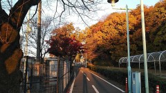 【お題日記】大切な人を連れていきたいお店ある？