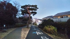 【お題日記】首輪付けたことある？