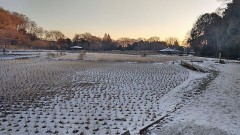 【お題日記】家に包丁何本ある？