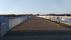 【お題日記】この人のモノマネできます