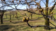 【お題日記】ハメ撮りのルール