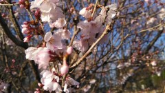 【お題日記】今までで一番激しかったプレイ