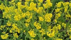 【お題日記】ご近所の怖い話