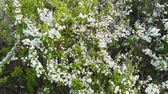 【お題日記】前戯だけで満足できる？