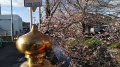 【お題日記】異性に求める第一条件