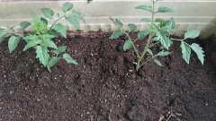 【お題日記】表で欲しいコミュニティー