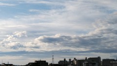 【お題日記】感謝を伝えたい人