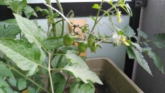 【お題日記】ちょっと重かったな…という人いた？