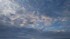 【お題日記】こんな外国語勉強してます(英語以外)