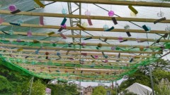 【お題日記】自慢のパーツはここ