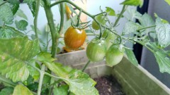 【お題日記】好きな人に着てほしい服装