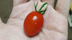 【お題日記】こんなもの持ってます