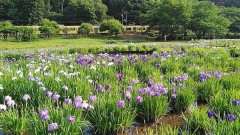 【お題日記】オリジナルグッズ作ったことある？