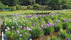 【お題日記】人付き合いをしていく上で気をつけている事