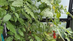 【お題日記】最近あったちょっとHな失敗談