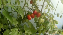 【お題日記】Hした関係から友達に戻れる？