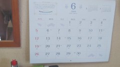 【お題日記】卵割ったら黄身が2つ以上あった経験