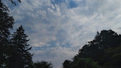 【お題日記】鉄板のエロいシチュエーション