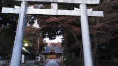 【お題日記】「こ」と入れたら何が変換候補に出る？