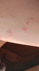 【お題日記】パートナーの趣味に合わせる？