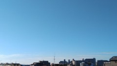 【お題日記】今日はOKのサイン