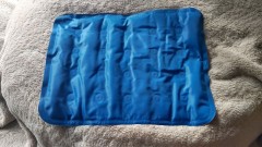 【お題日記】寝起きのHは好き？