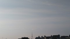 【お題日記】私の弱点