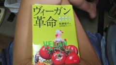 【お題日記】本当に会った怖い話（表）