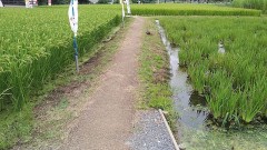 【お題日記】一番使うSNSは？