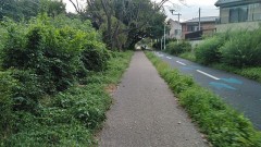 【お題日記】復刻してほしいインスタントラーメン