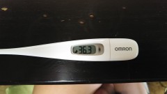 【お題日記】結婚前のHはアリ？