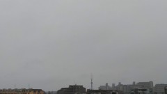 【お題日記】細かすぎて伝わらない異性のタイプ