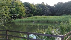 【お題日記】Hまでの理想の流れ