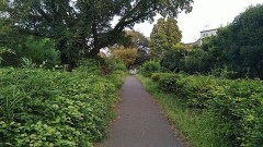 【お題日記】Hが上手人は忘れられない？