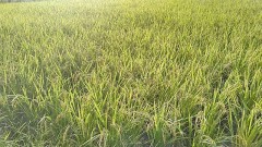 【お題日記】よりを戻したことある？