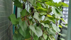 【お題日記】好きなものでベスト3作ってみて