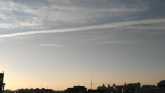 【お題日記】ボランティア経験ある？