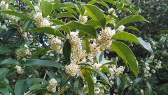 【お題日記】好きなアニメの中で誰が好き？