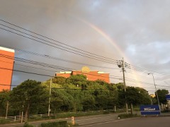 虹～～(о´∀`о)