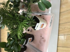 引っ越しました～～