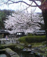 油断できない春…