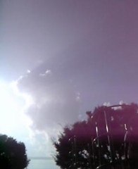 ひかれました…