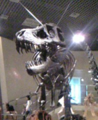 疲れた１日・・・