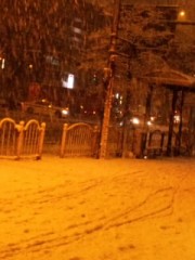 ただいまツモリ中♪