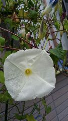 会社を辞めて二ヶ月…