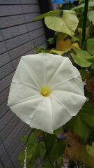 まさかの…美？