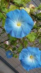 私事ですが……ウーン、悩む…