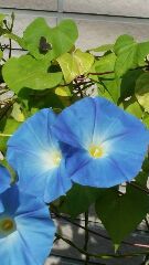 私事ですが…本当は