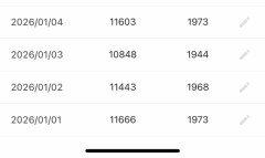 【お題日記】お正月の間お餅何個食べた？